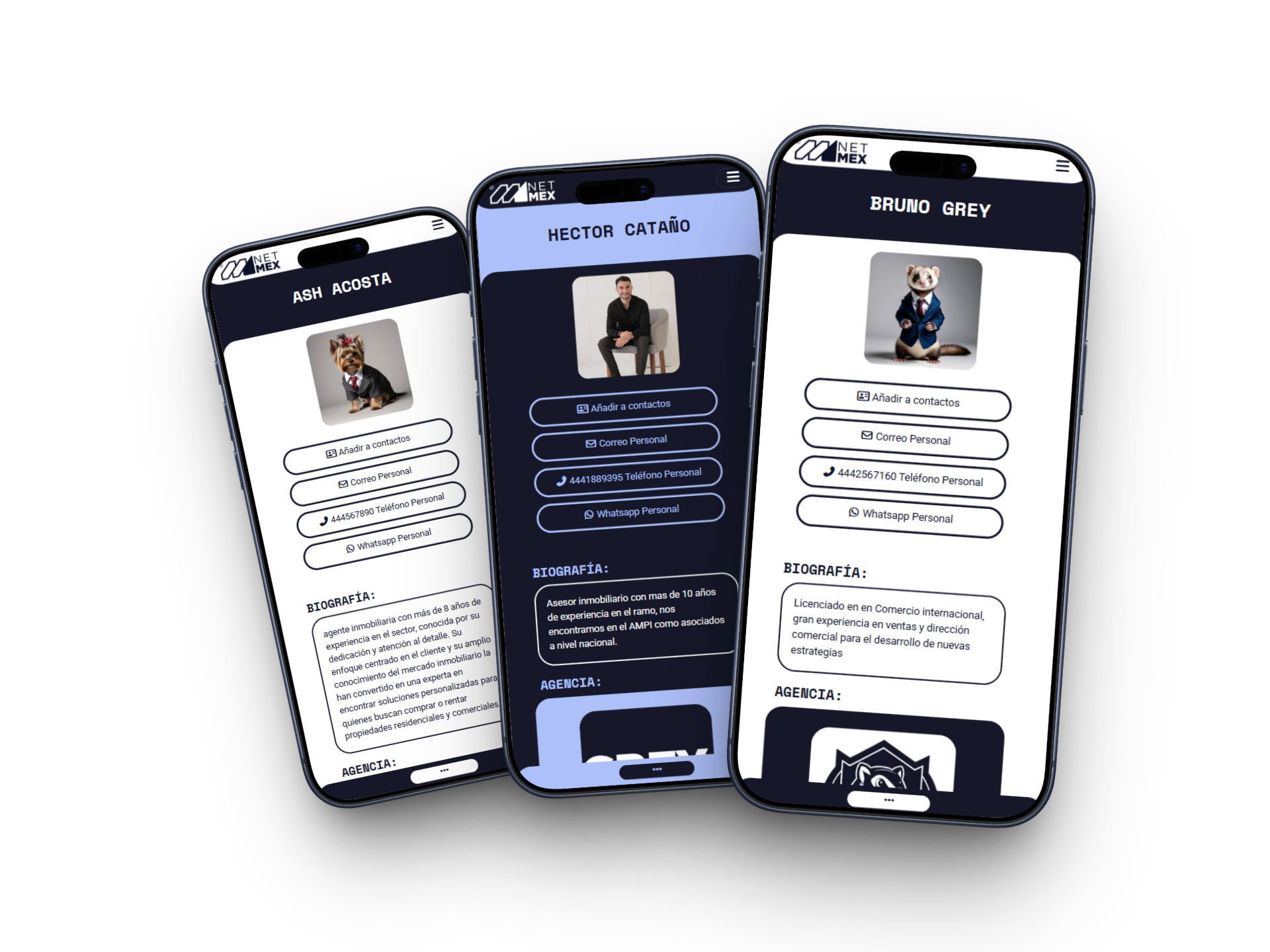 Mockup de VCards Netmex